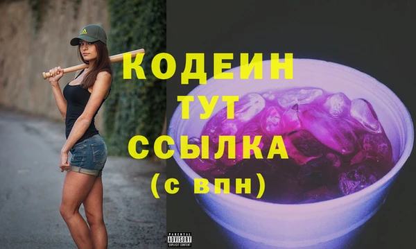 2c-b Инта